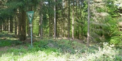 Quellen und Bäche im Karstareal