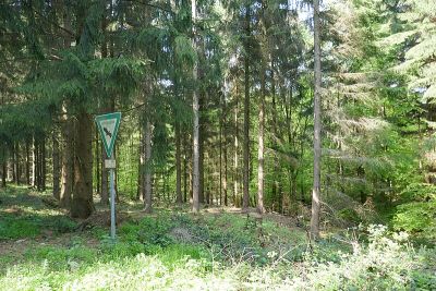 Quellen und Bäche im Karstareal