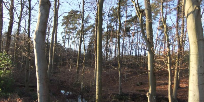 Reiher- und Röhrbach