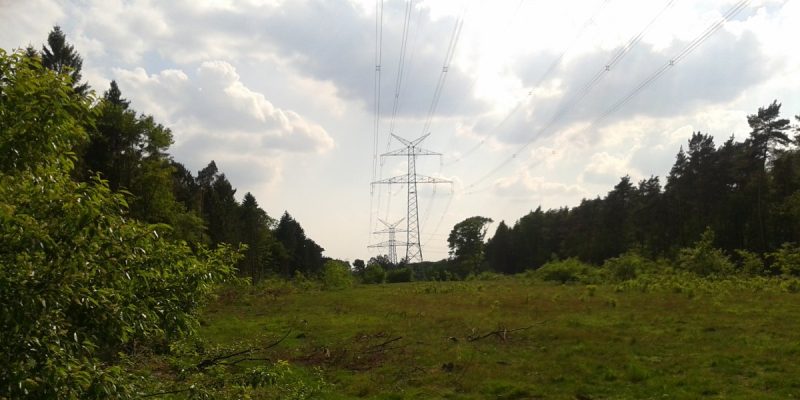 Südkamp