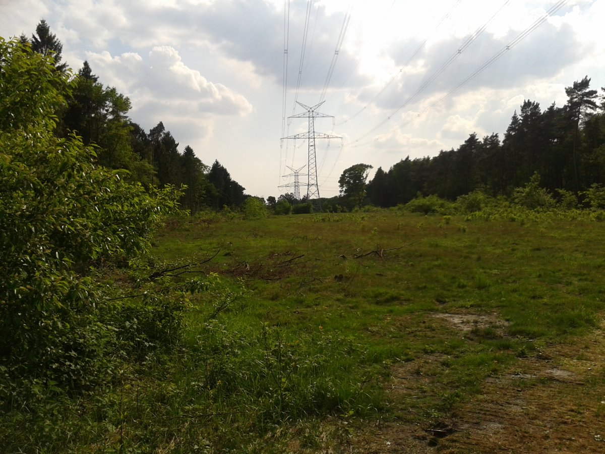Südkamp