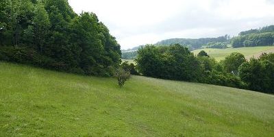 Ubbedisser Berg