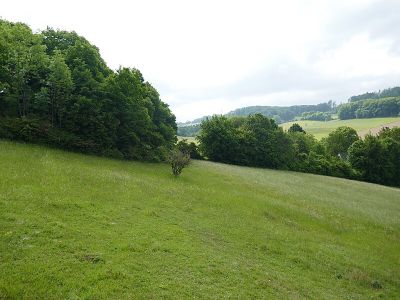 Ubbedisser Berg
