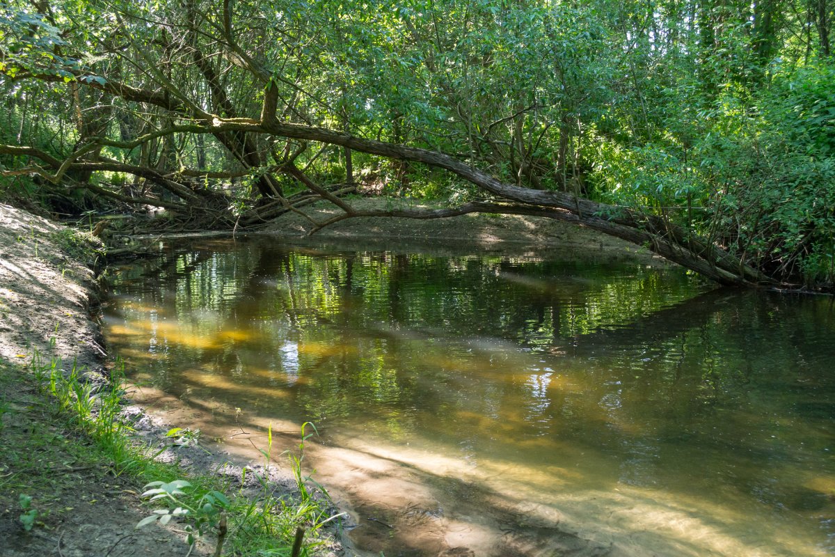 Windweheniederung