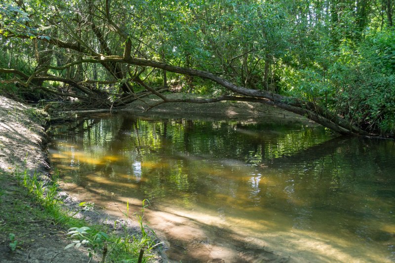 Windweheniederung