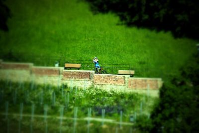 Winzerscher Garten