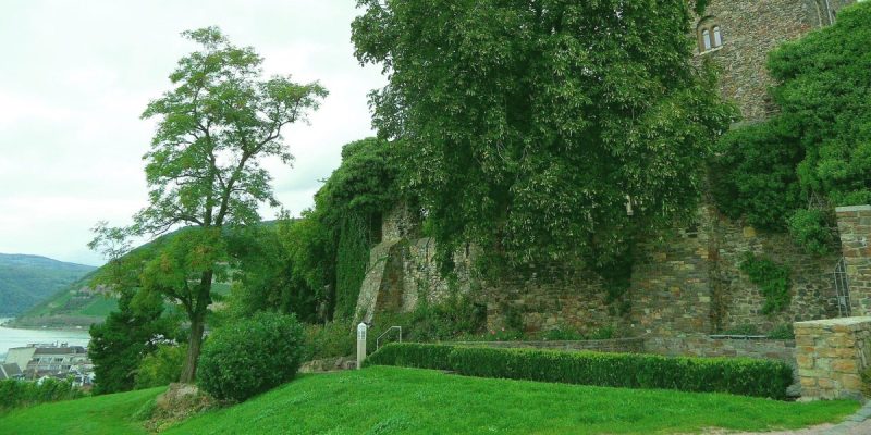 Essbare Stadt Bingen am Rhein