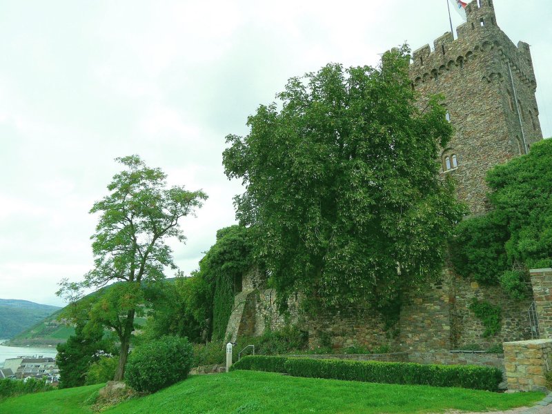 Essbare Stadt Bingen am Rhein