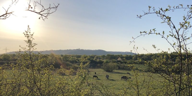 Hinter der Mortkaute