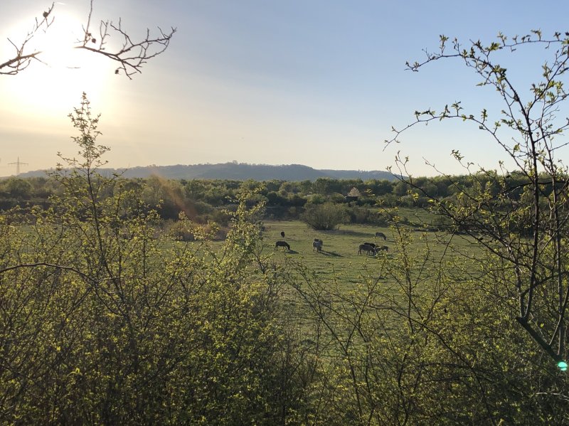 Hinter der Mortkaute