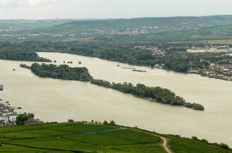 Rüdesheimer Aue (Ost 2)