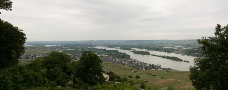 Rüdesheimer Aue