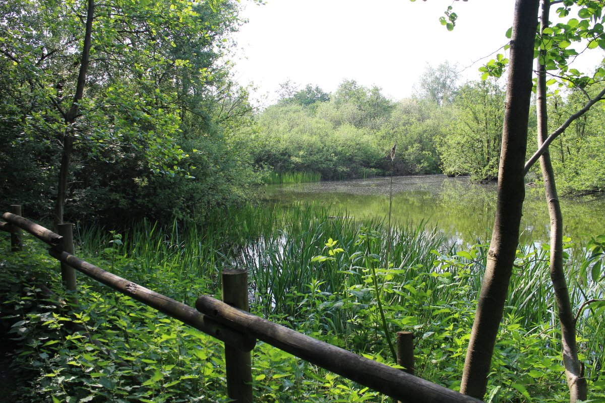 Blumenkamp