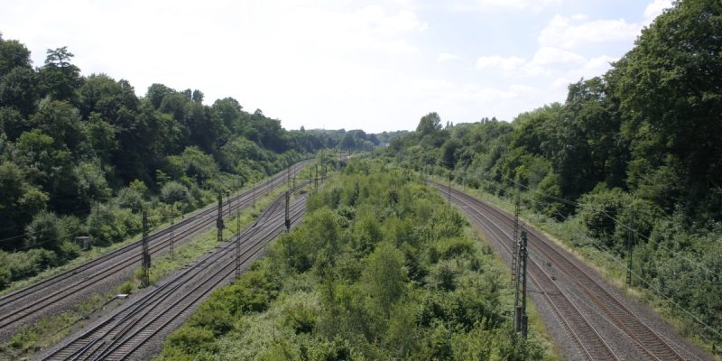 Buselohbrücke
