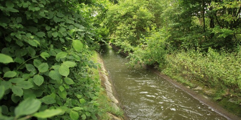 Harpener Bach