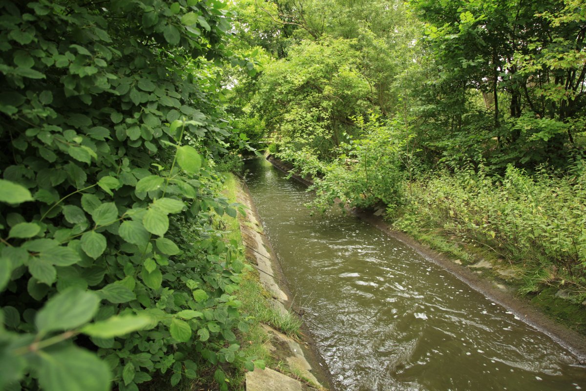 Harpener Bach
