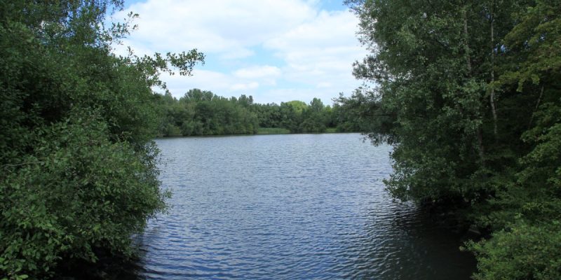 Harpener Teiche