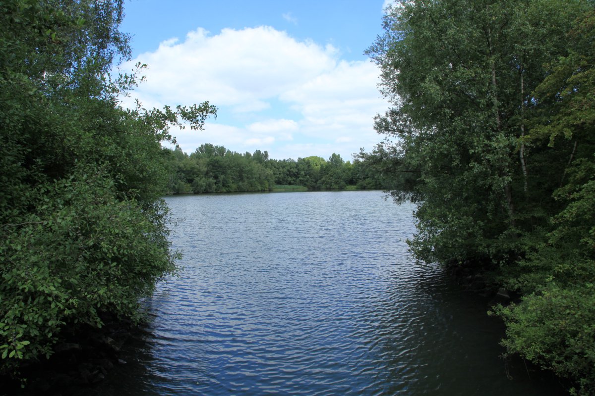 Harpener Teiche