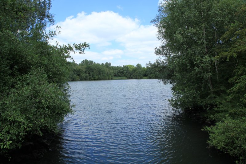 Harpener Teiche