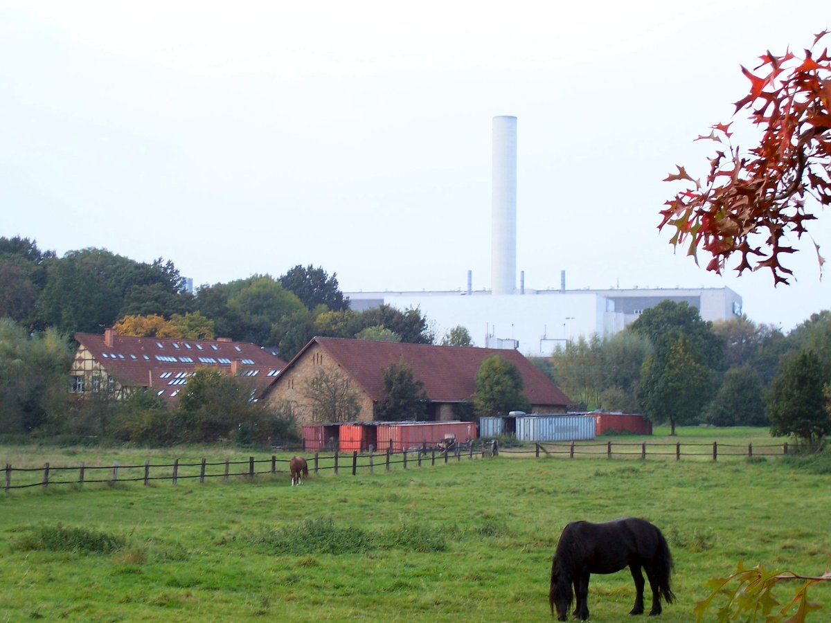 Haus Laer