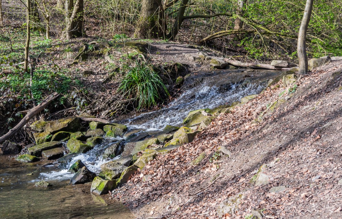 Kalwesbach