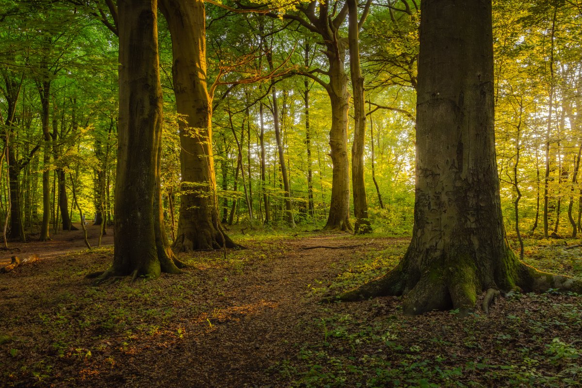 Oberes Ölbachtal