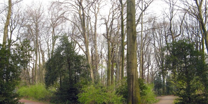 Rechener Park