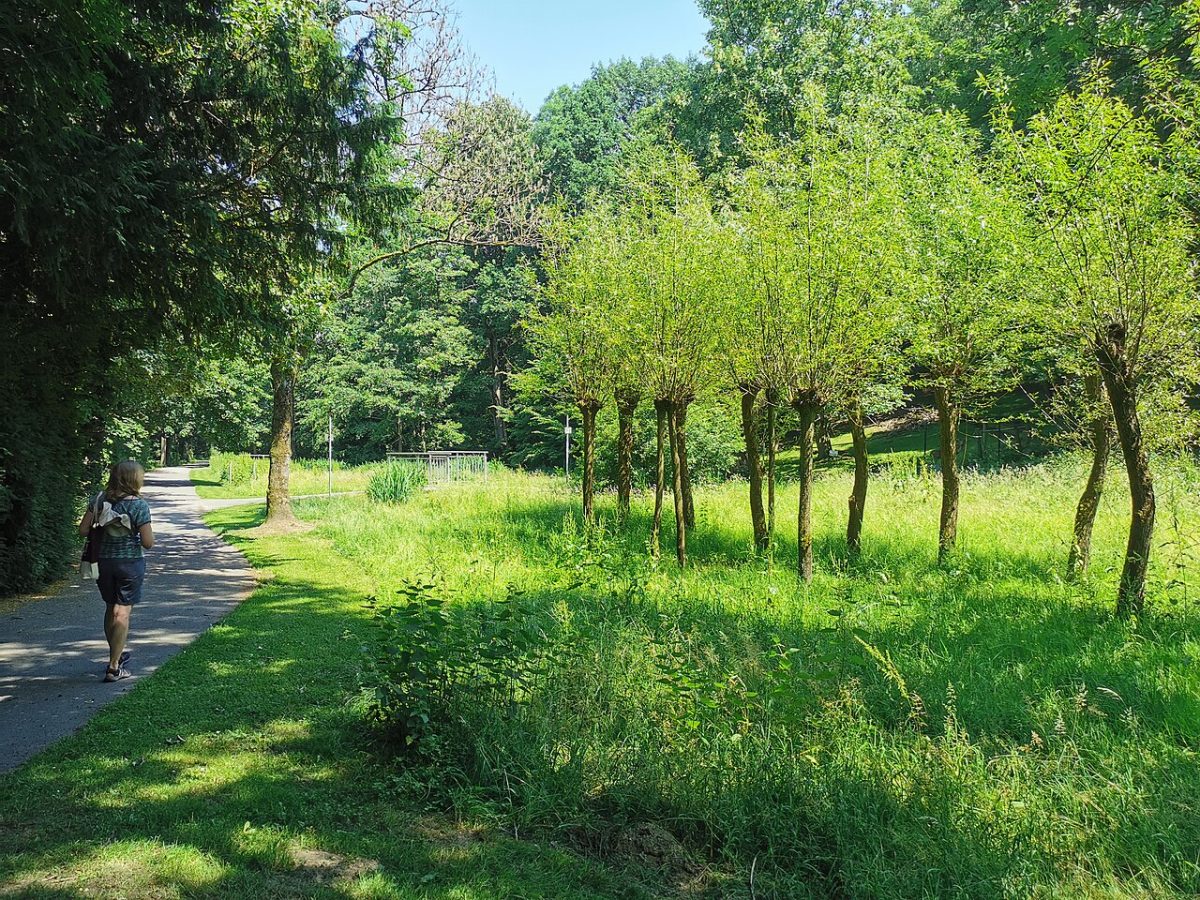 Südpark