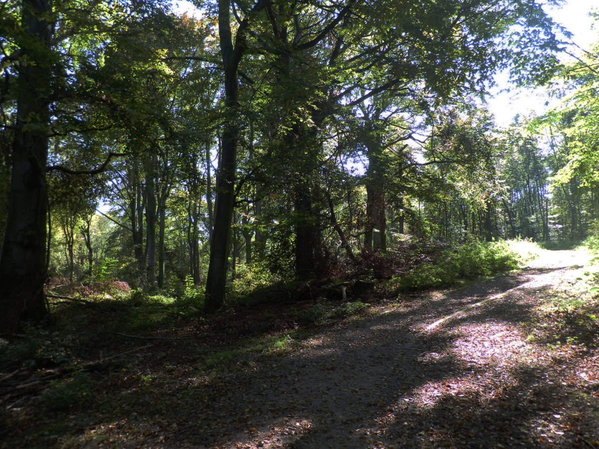 Tippelsberg-Berger Mühle