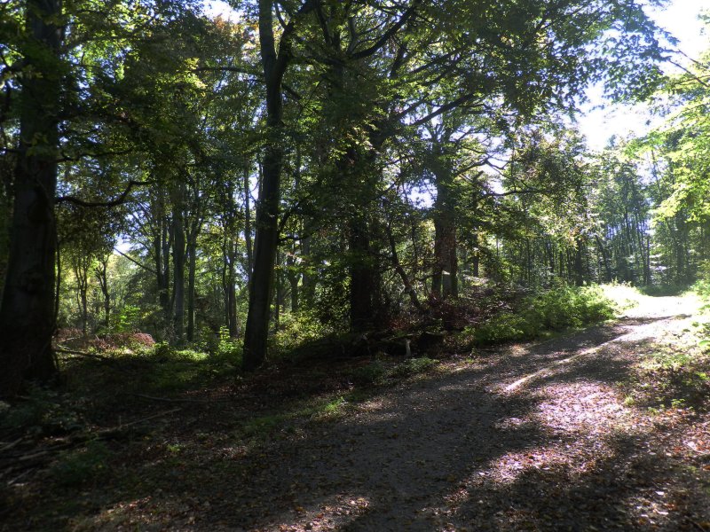 Tippelsberg-Berger Mühle