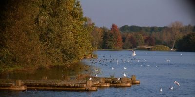Ümminger See