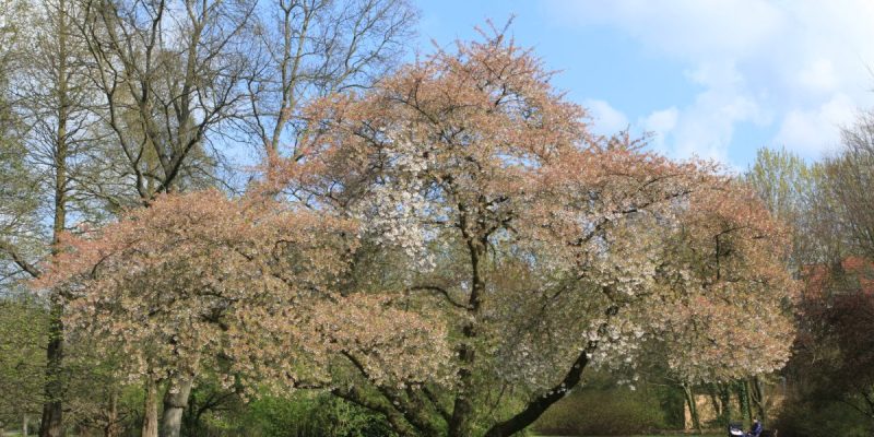 Volkspark Langendreer