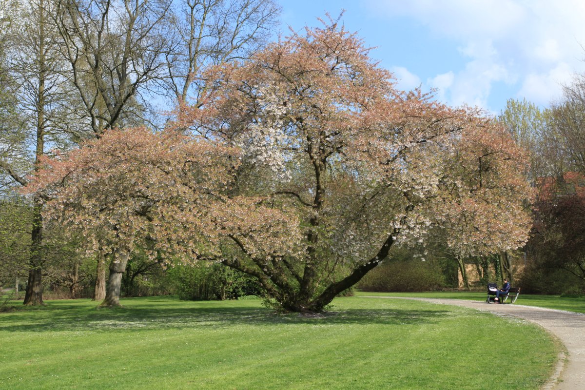 Volkspark Langendreer