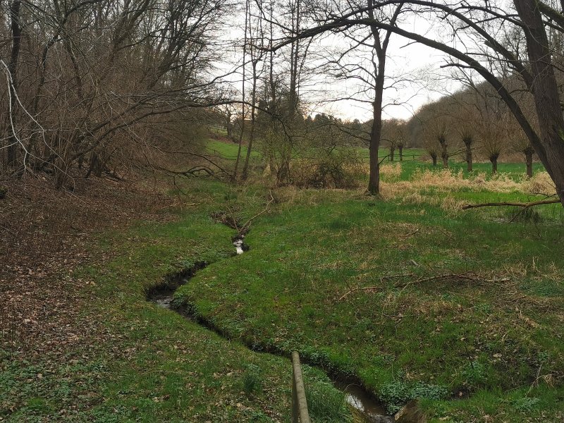 Voßkuhlbach