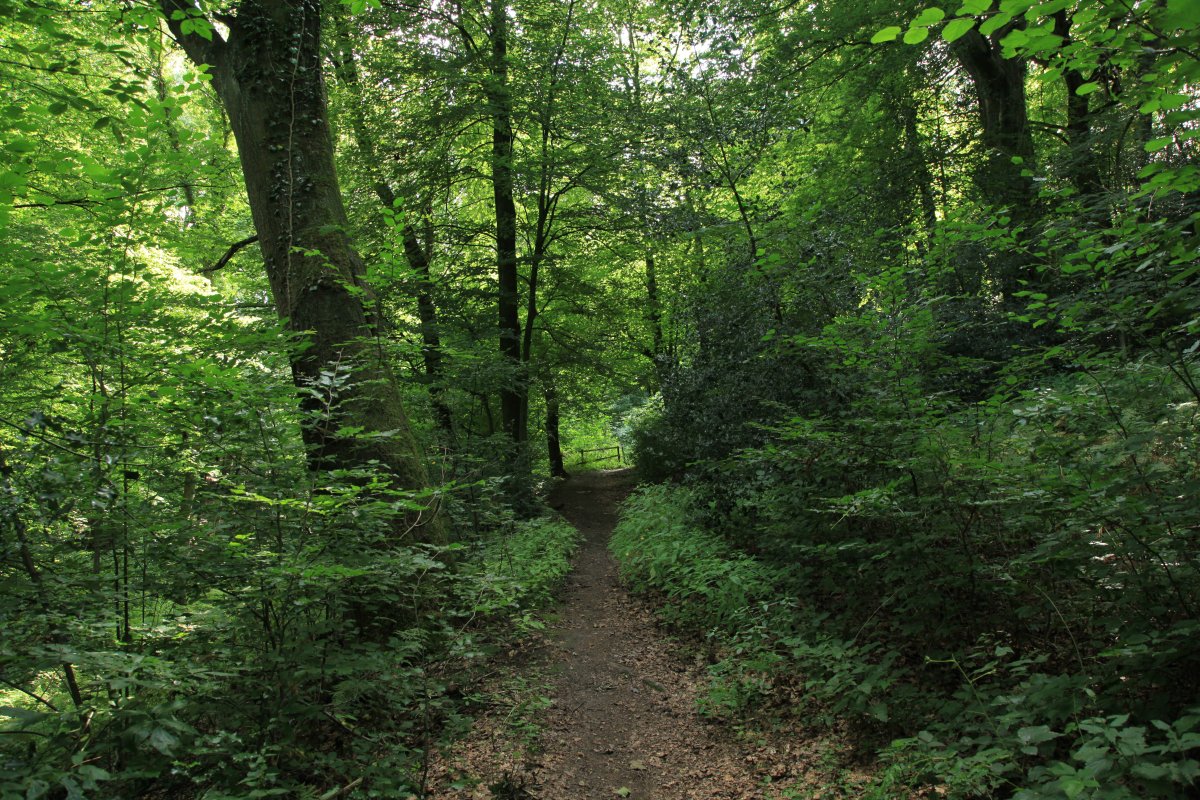 Waldsiepen Hevener Straße / Im Lottental