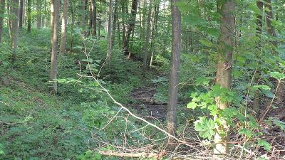 Annaberger Bach