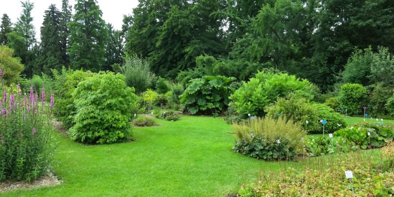 Botanischer Garten