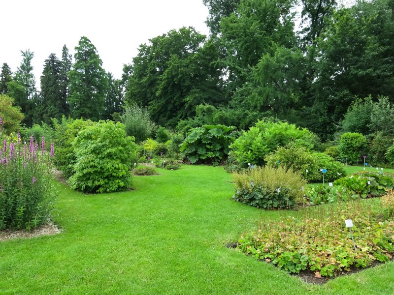 Botanischer Garten