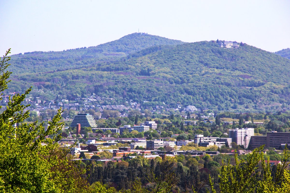 Casselsruhe