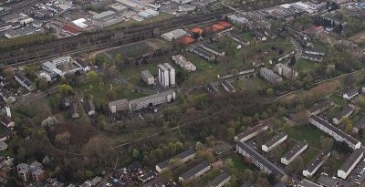 Düne Tannenbusch