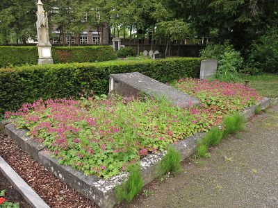 Familie Schnorrenberg und Oppenhoff