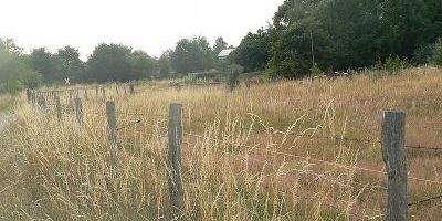 Feuchte Grünlandbrachen und Mähweiden "Kohlkaul"