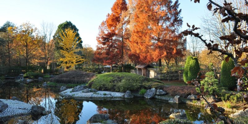 Japanischer Garten