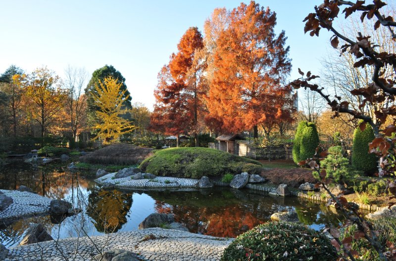 Japanischer Garten