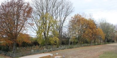Jüdischer Friedhof (Nord 2)