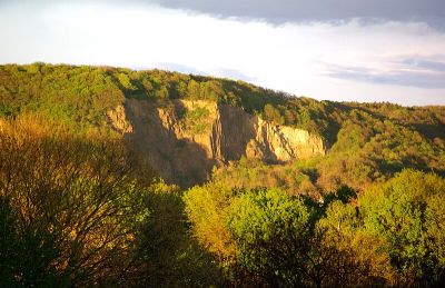 Kuckstein