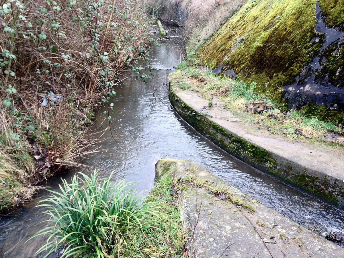 Rheindorfer Bach