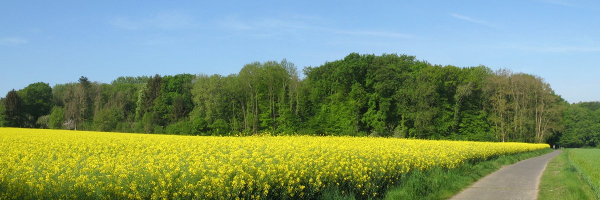 Röckesberg