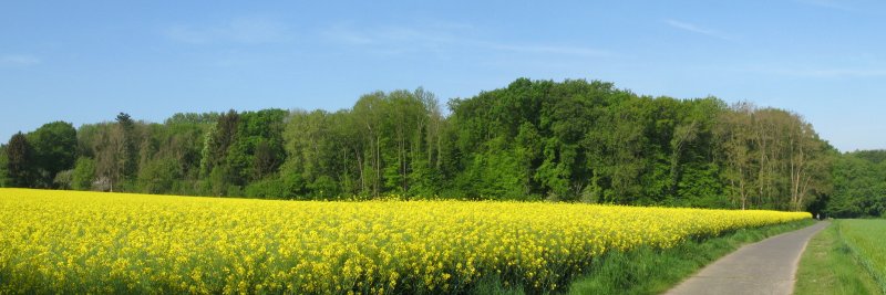 Röckesberg