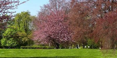 Stadtgarten